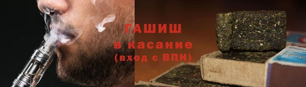 гидра Горнозаводск