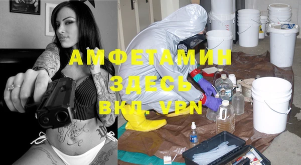 гидра Горнозаводск